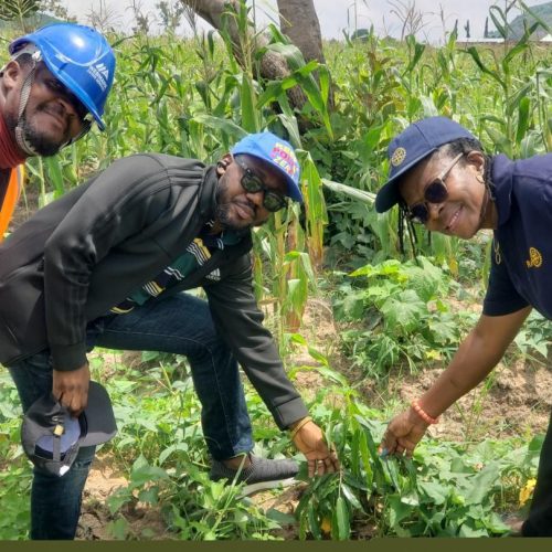 photo_2024-02-01_00-26-38